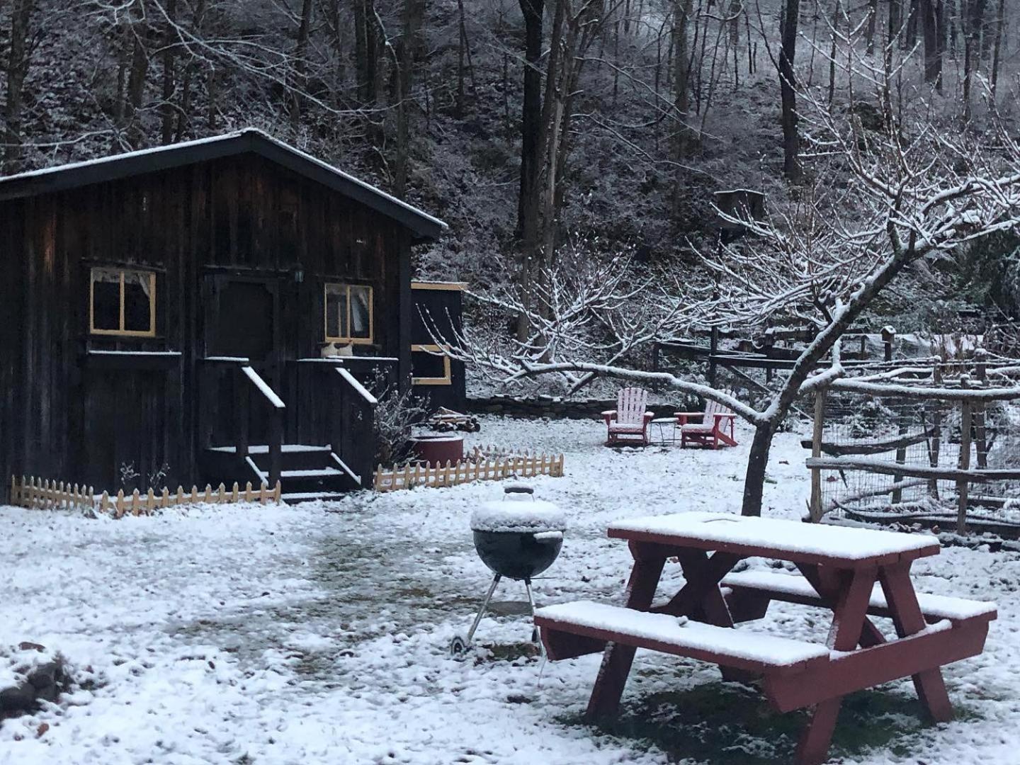 The Renovated Barn At Seneca Rocks Villa Eksteriør billede