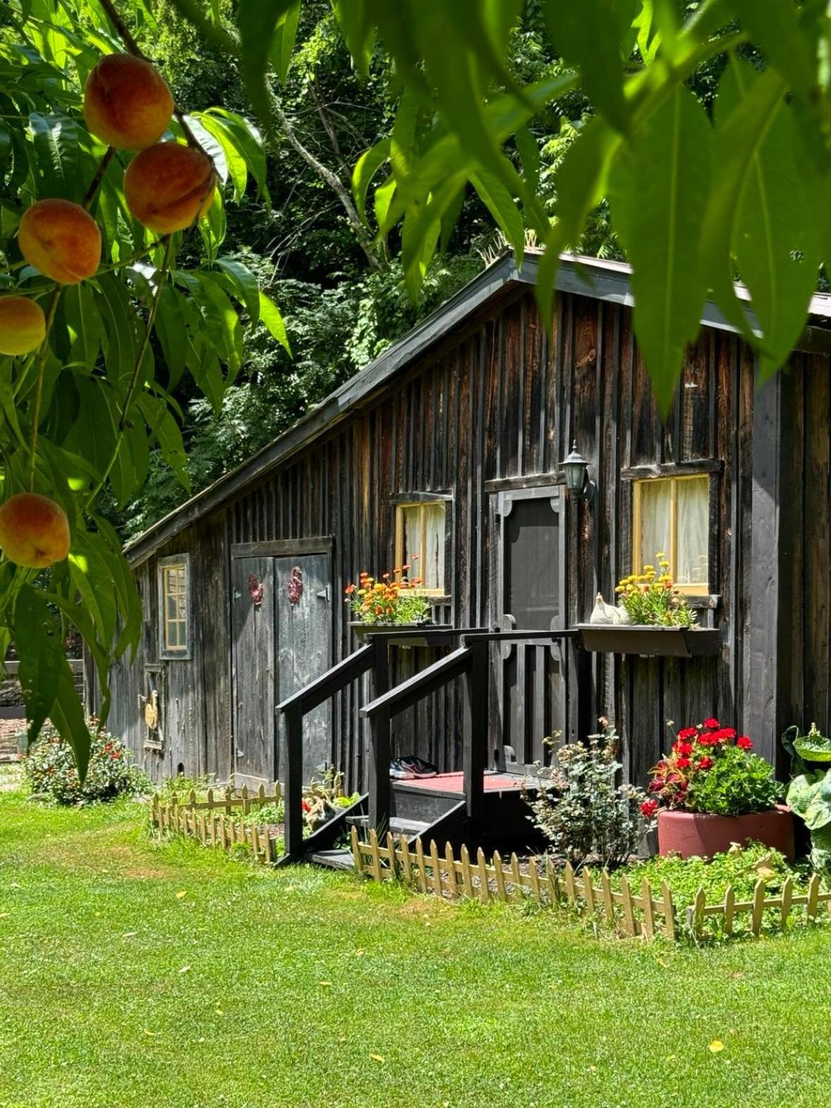 The Renovated Barn At Seneca Rocks Villa Eksteriør billede