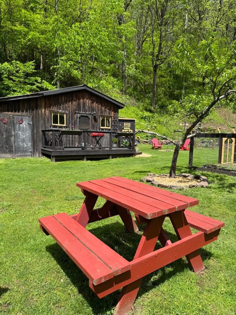 The Renovated Barn At Seneca Rocks Villa Eksteriør billede