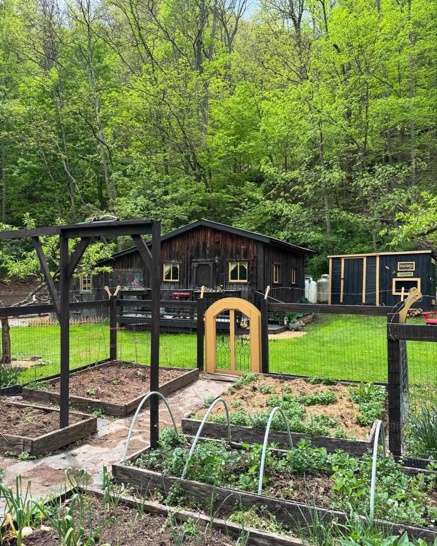 The Renovated Barn At Seneca Rocks Villa Eksteriør billede